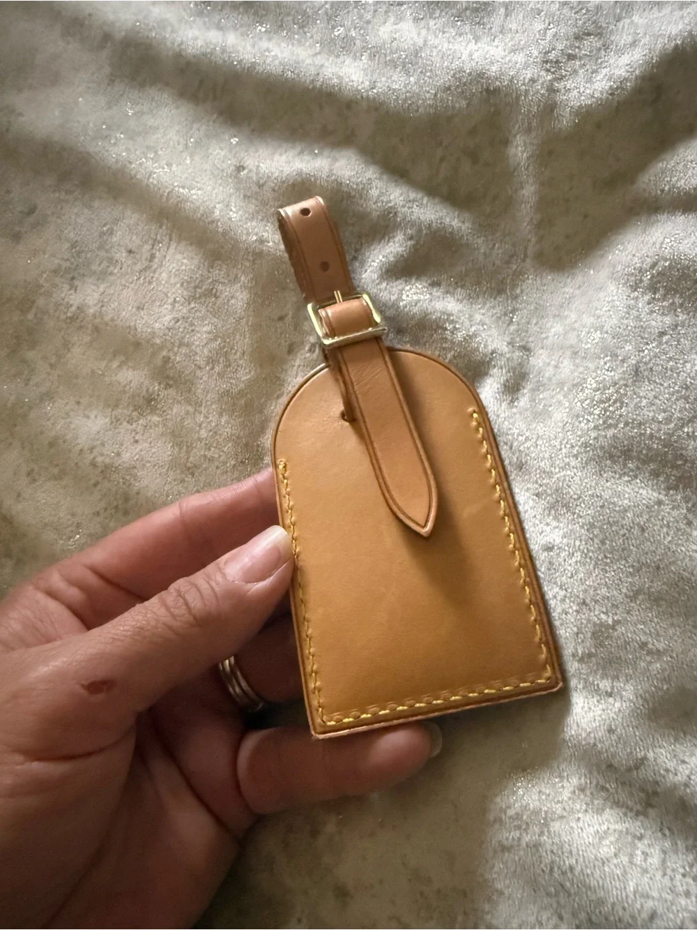 Louis Vuitton classic louis